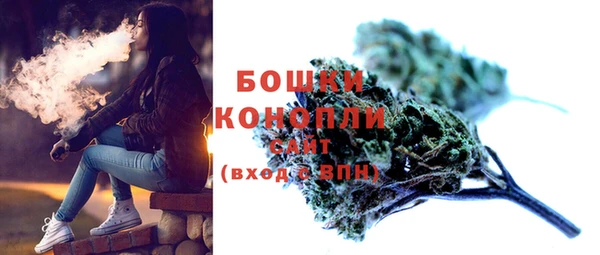 гашик Бородино