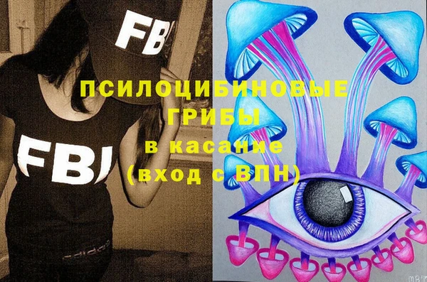 гашик Бородино