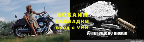 гашик Бородино