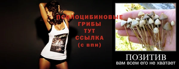 гашик Бородино