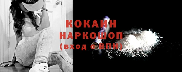 крисы Богородск