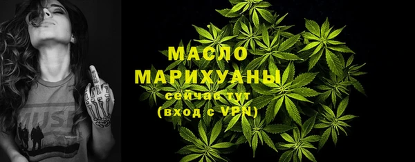 гашик Бородино